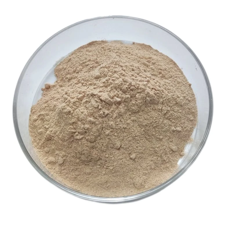 Aerobic Bacteria Preparation High Quality Factory Supply