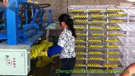 Papiermasse-Eierablage-Herstellungsmaschine, Obst-Eierablage-Produktionslinie